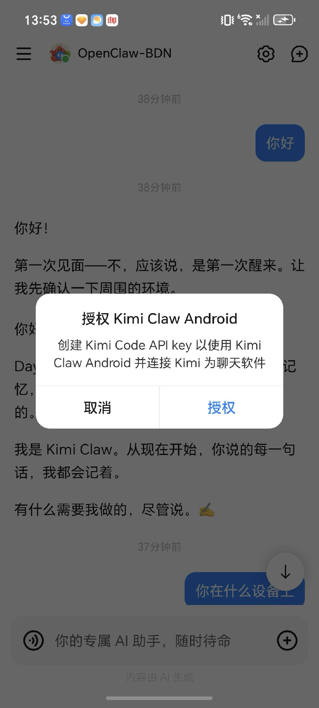 Kimi 授权页面